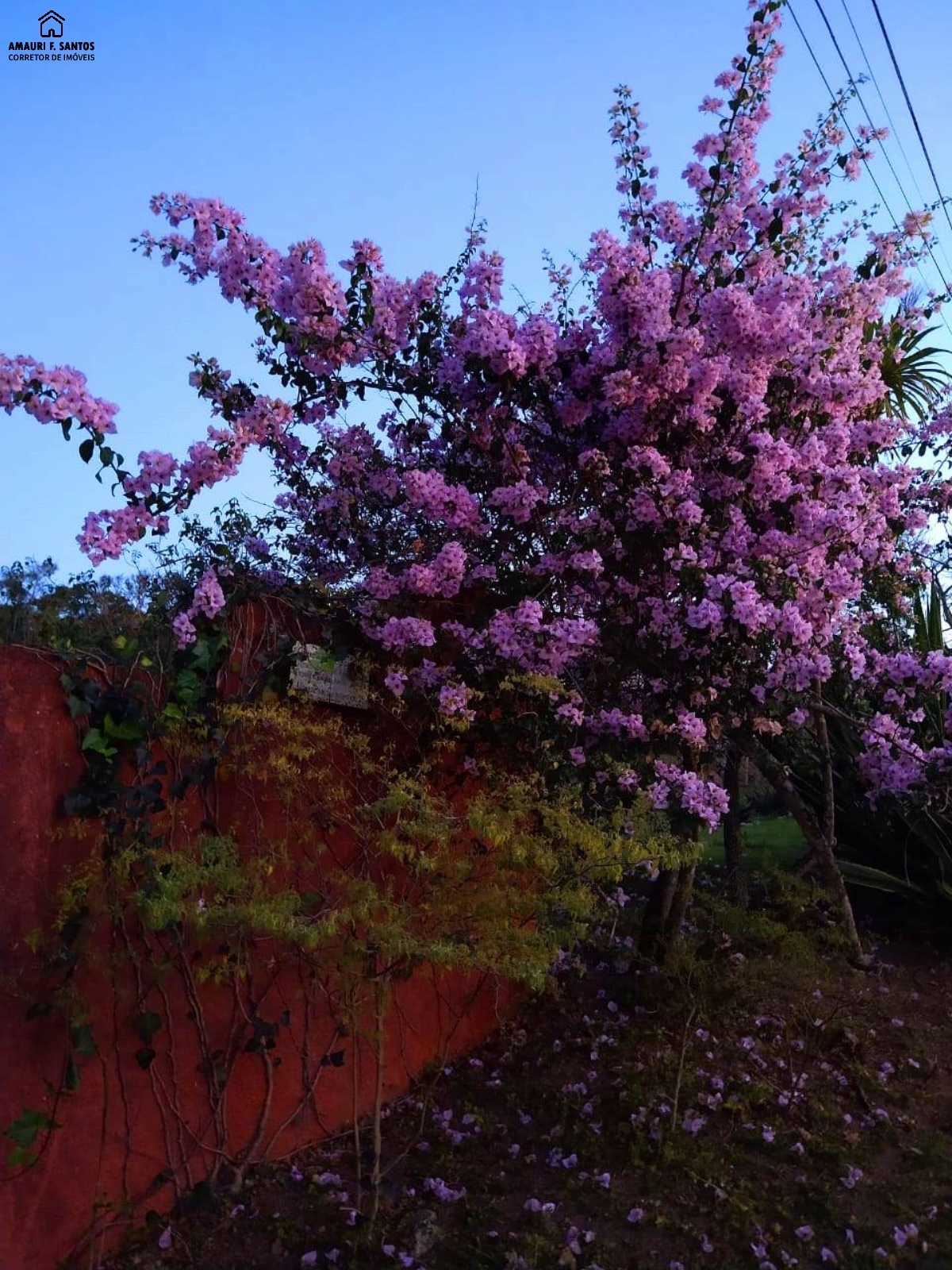 Chácara em , São Roque - Foto 12
